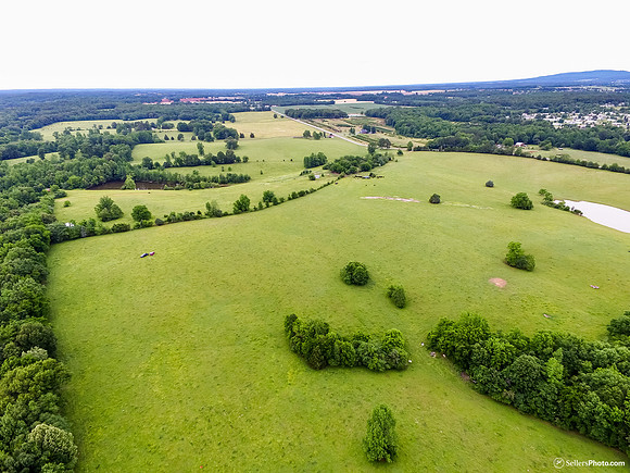 DJI_0364