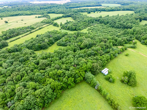 DJI_0366