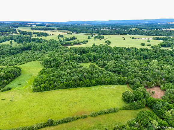 DJI_0367