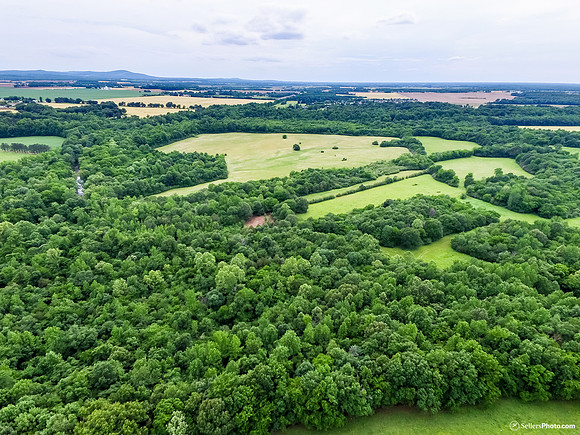 DJI_0353