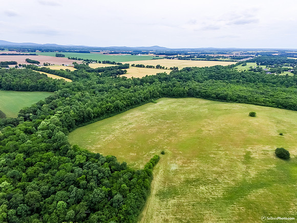 DJI_0355