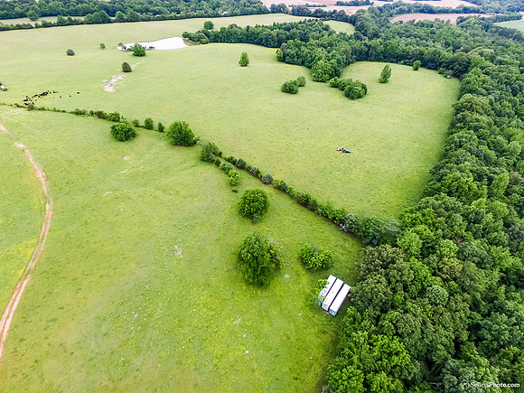 DJI_0359