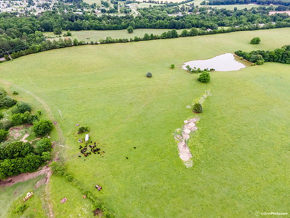 DJI_0361